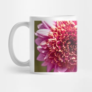 Close-up of pink powder puff dahlia Mug